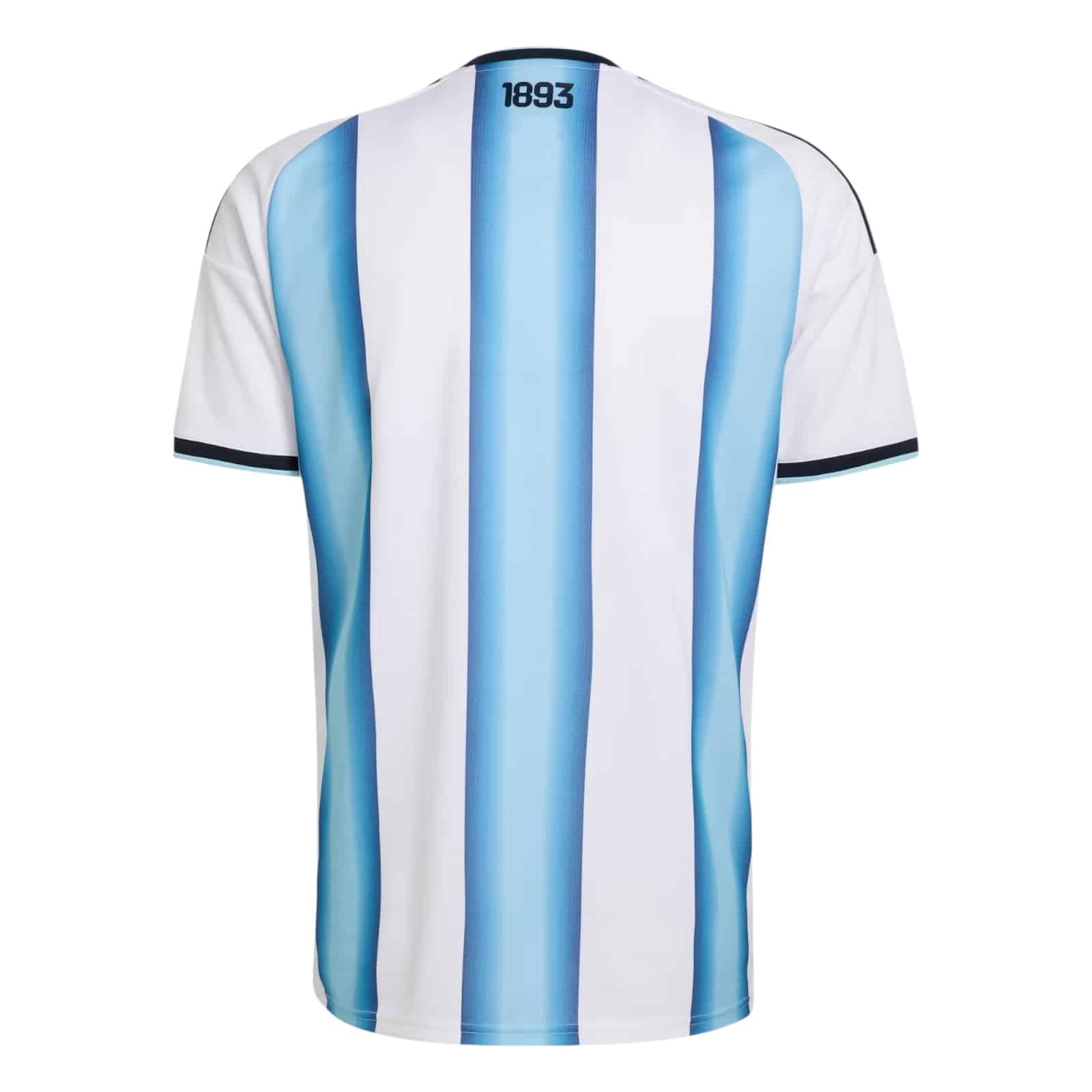 Camiseta Argentina 2026 (FAN VERSION)