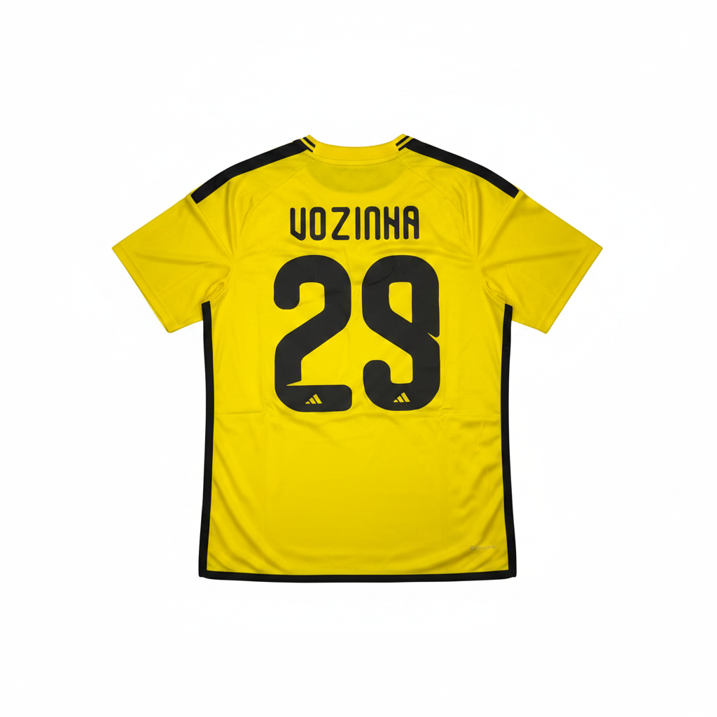 Camiseta Colo-Colo Vozinha N29 dorsal
